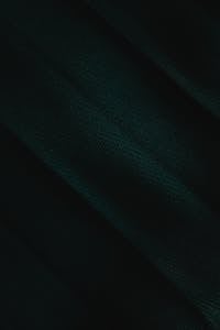 علی مطلقیان